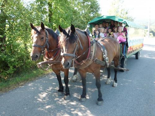 lustige Kutschfahrten