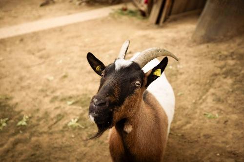 Shooting_25-10-01_Ferienwohnungen_72