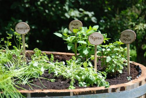 Kräuterwanne im Gästegarten