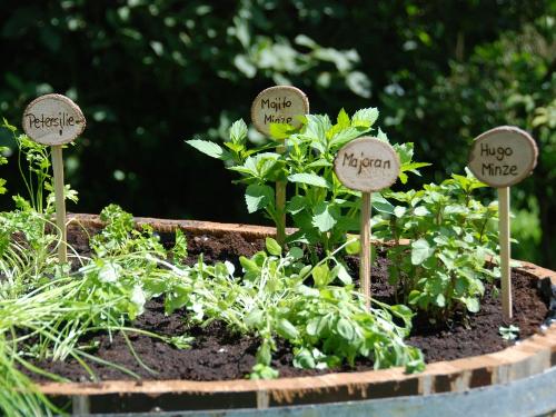 Kräuterwanne im Gästegarten Kräuterwanne im Gästegarten