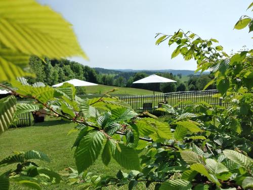 Am Peterhof Liegewiese