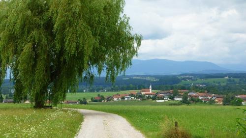 Herrliche Wander- und Radlwege von Bicheln nach Tettenhausen