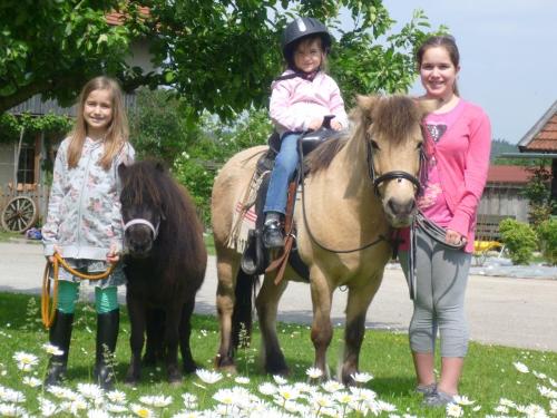 Unsere Ponys "Trixi" und "Juli"
