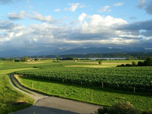 Wunderschöne Aussicht zum Waginger See