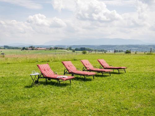 panoramahof_0517-5598