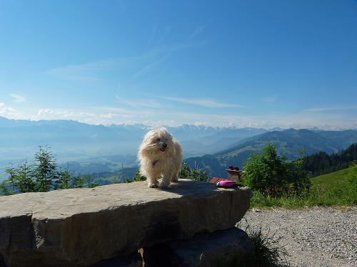 beste Aussicht und ich bin dabei