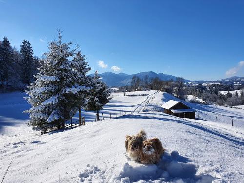 Winterwandern im Allgäu