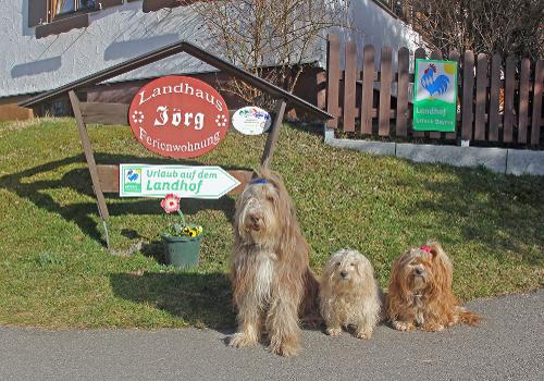 Ihr Hund ist bei uns Willkommen
