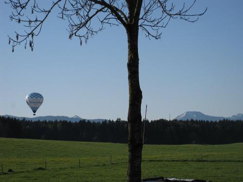 Terrassenblick