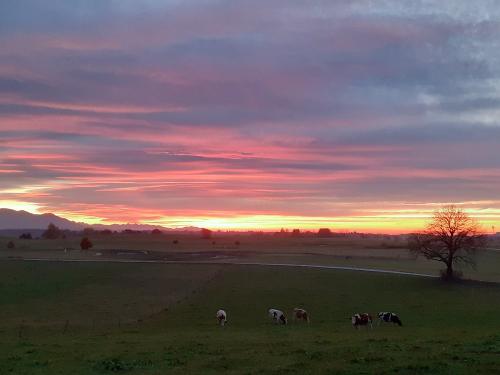 Abendstimmung im Herbst