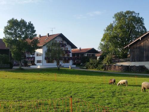 Hühner und Schafe vorm Hof