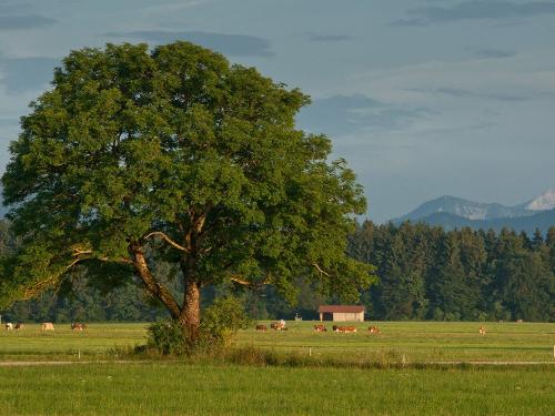 Wanderrunde vor Piesenkam
