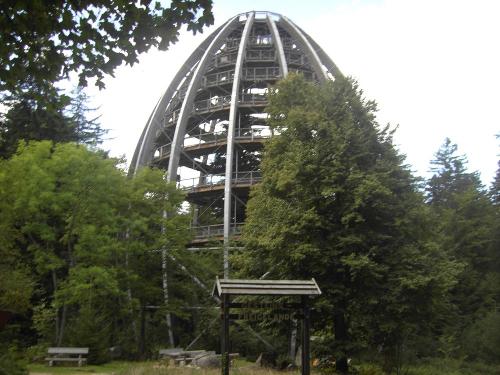 Aussichtsturm 50m Baumwipfelpfadweg