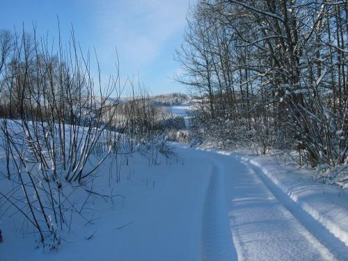 Winterlandschaft beim Zwergelhof