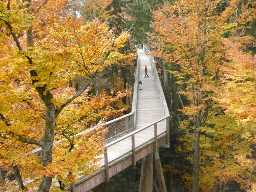 längster Baumwipfelpfadweg der Welt (1300m)
