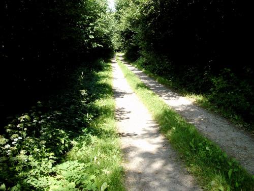 Pilgramsberger Weg