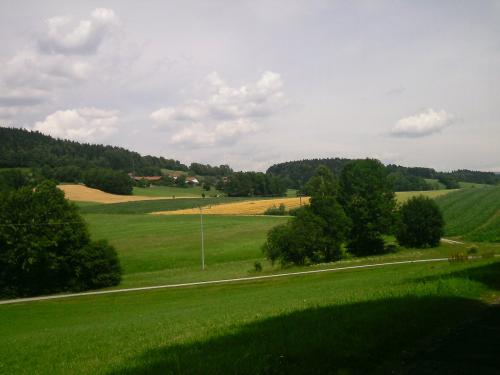 Sommerlandschaft beim Zwergelhof