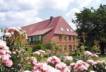 wibbeling_haus_rosen