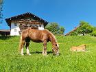 Hanna und Heidi