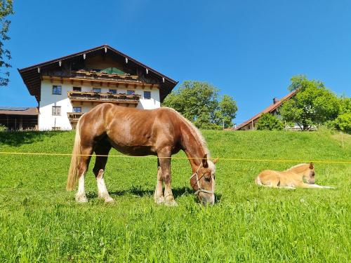 Hanna und Heidi
