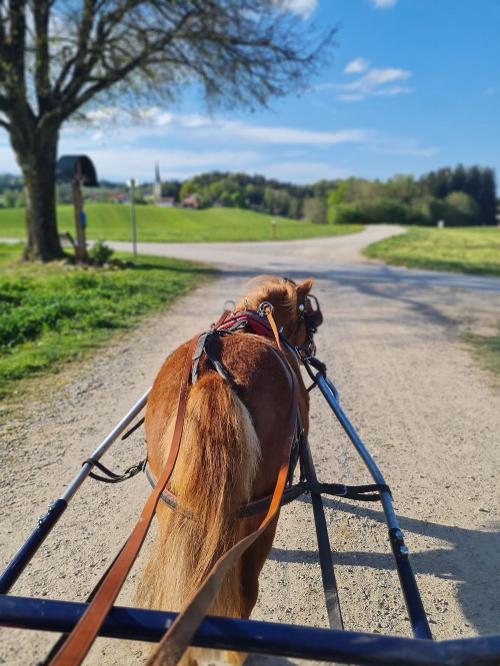 Romy vor der Kutsche