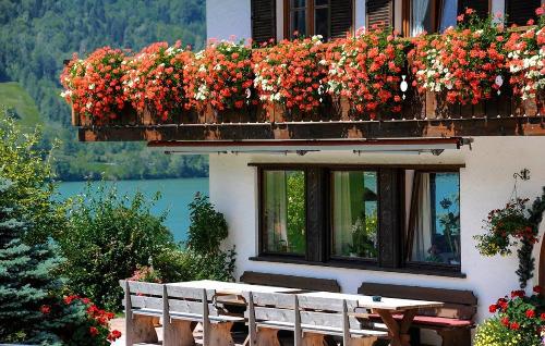 blumenbalkon2016