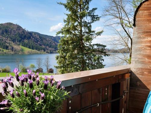 Balkonblick App. Linde