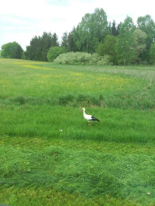 ferienhausimg-20180504-wa0002