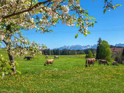 Ausblick von unserem Garten