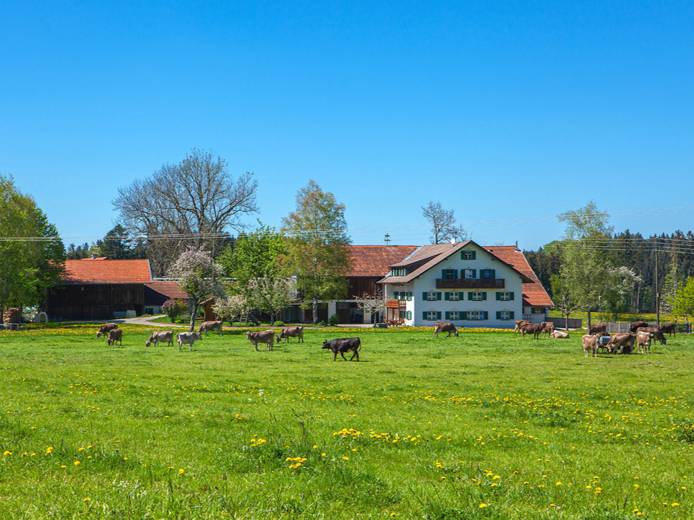 unserbauernhof493368