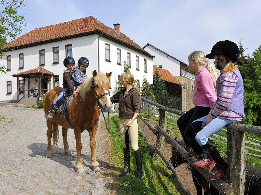 Reiturlaub auf dem Gefildehof Eisenach Reiturlaub auf dem Gefildehof Eisenach