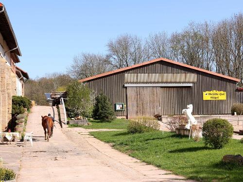 Weg zur Reithalle und zum Stall