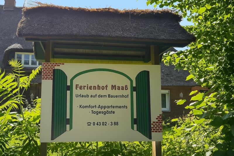 Schild