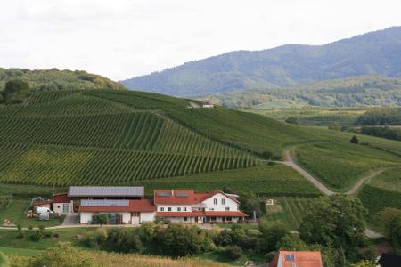 Weingut Berner