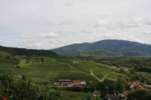 Weingut Berner
