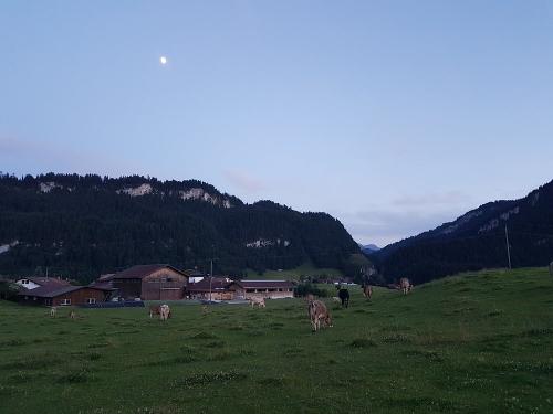 Impressionen