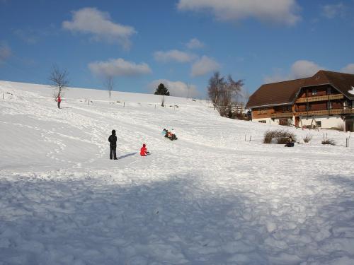 Schlittenbahn