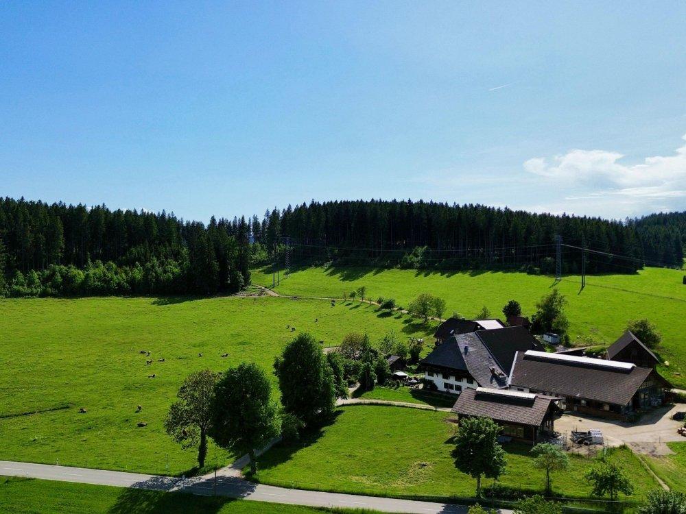 der Haldenmathisenhof der Haldenmathisenhof