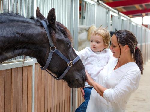 4 ypkopie  202 von 228