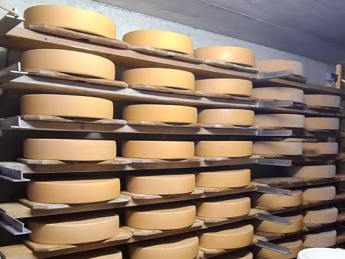Alpkäse Reifekeller