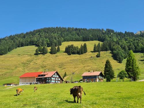 Beim Alpkühe Eintreiben