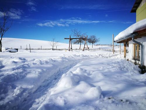 Wintertraum