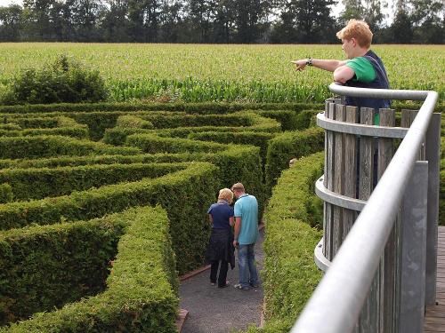 Irrgarten Alfsee am Erlebnishof Wübbold