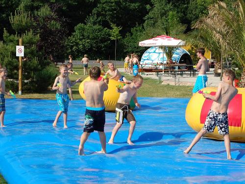 Irrgarten Alfsee am Erlebnishof Wübbold