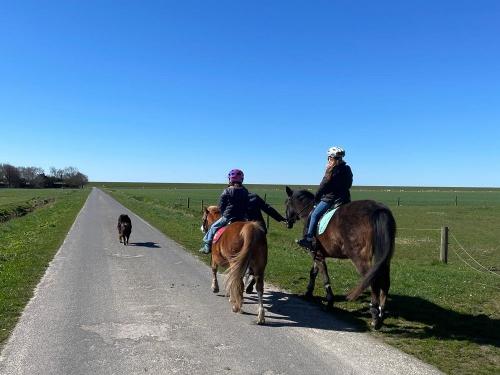 Ponyreiten