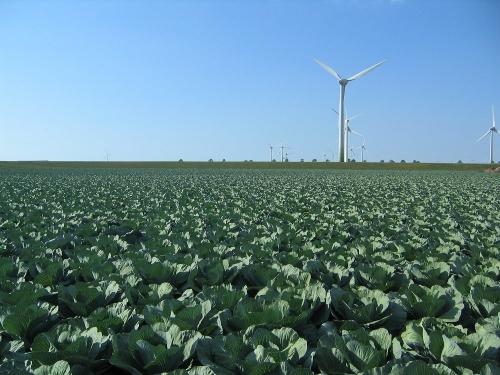 August 2010 010
