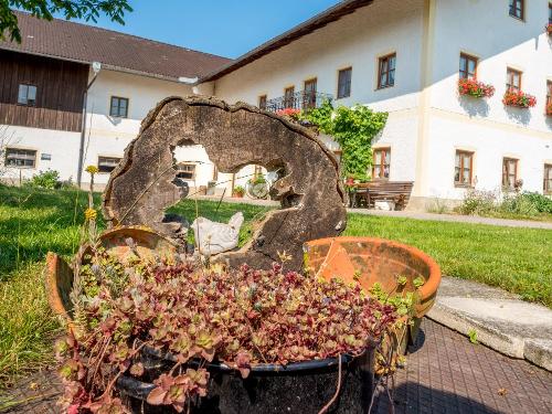 freiwang-auen-garten13