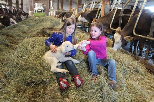 Landwirtschaft hautnah erleben