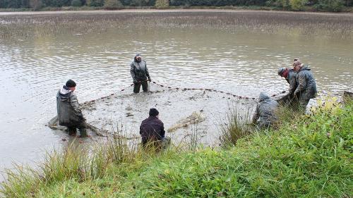 Abfischen im Oktober