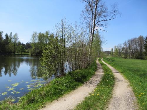Teich